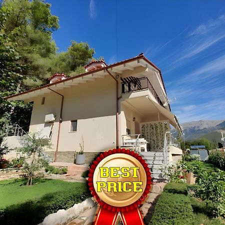 Villa Vasil Mertiri هيماري المظهر الخارجي الصورة