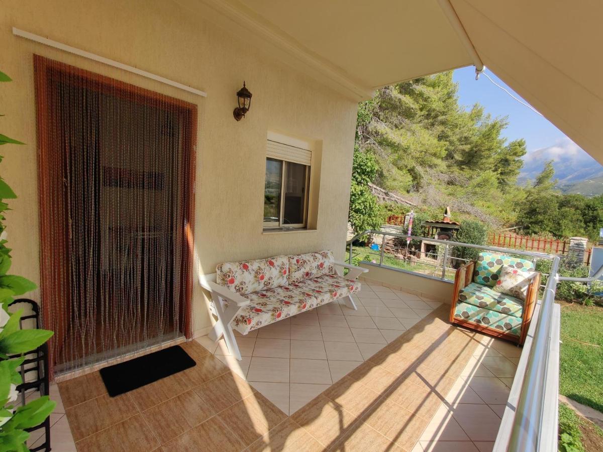 Villa Vasil Mertiri هيماري المظهر الخارجي الصورة