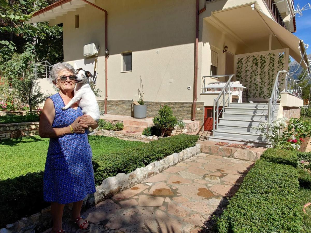 Villa Vasil Mertiri هيماري المظهر الخارجي الصورة